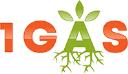1 Gas logo